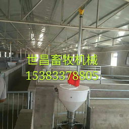 養豬設備廠供應自動下料桶 生產廠家、價格解析與羊場應用前景