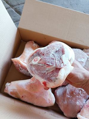 山東臨沂蘭山區豬副產品批發概覽 優質豬肘子，價格親民